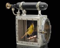 Science Museum - see something that no one has seen online before