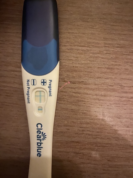 Pregnant straight after miscarriage with no period