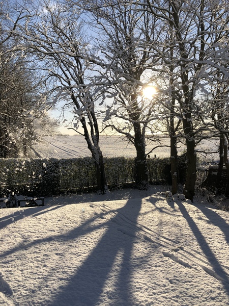Bringing in some light