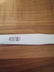 🦕 Catching up - ttc after miscarriage part 5 🦕