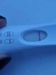 TTC 35+ Thread 5 Cougar and Silver Fox Club