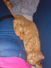 Is that position really comfortable?