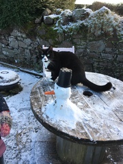 What's your DCat up to today? (Thread 8)