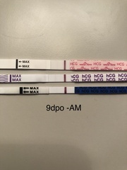 Is this a good bfp?
