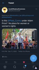 Support Plaid Cymru MP - Helen Mary Jones