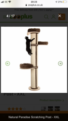Why is my cat being a dick about this?