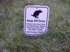 Dog poo-ing on our garden every morning and evening. AIBU to say something?