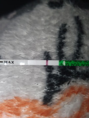 V v v faint positive?