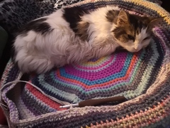 Knit, Crochet and Natter into 2021