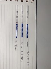 10DPO? Faint line?