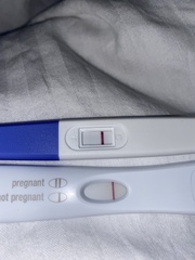 Took another test this morning opinions?