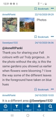 Show Us Your Pictures 4