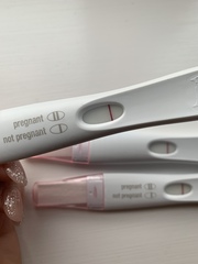 Support thread for women who are pregnant or TTC following a termination for abnormalities. Thread 7