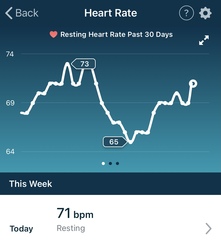 Tracking your cycle and possible BFP using RHR - part 5