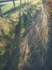 To just ask you all to either wear some proper wellies and walk on the footpath, or stick to the sodding pavements