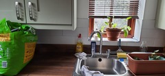 Where is your kitchen sink?