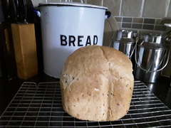 AIBU to ask which Panasonic Breadmaker?