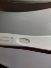Chemical, indent, bfp?