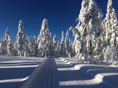 Swagger Inn 168 - New Year, New Thread - same Tavern