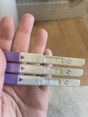 Immune/NK Issues - aka Pred Thread no 26