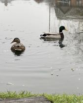 NOT what I expected to wake up to this morning...