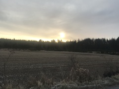 Running Thread 16