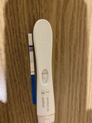 Pregnant test