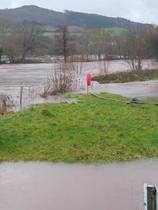 Frugal Friends Forging Forward Toward February and Further Financial Freedom