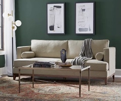 Please help me choose a new sofa and rug