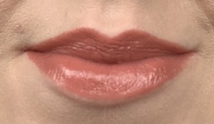 Lipstick Challenge - a different lipstick each day of Jan!