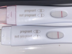 Could I be pregnant so soon after miscarriage ?