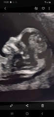 chances of having all the same gender?