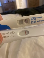CB Digital - BFP. Frer - BFN