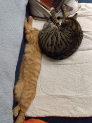 Is that position really comfortable?