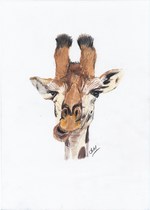 Art Prints vs Original Drawing - Pricing