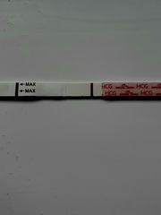 Line Spotting - 7dpo - I know, should not have POAS!