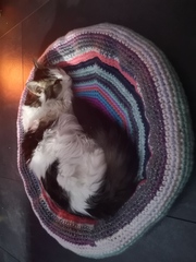 Knit, Crochet and Natter into 2021