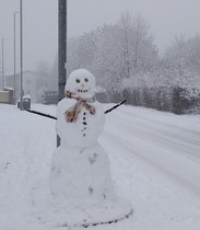 Sledging down street