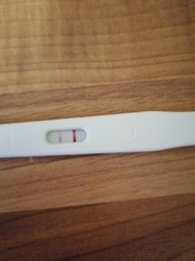 🦕 Catching up - ttc after miscarriage part 5 🦕