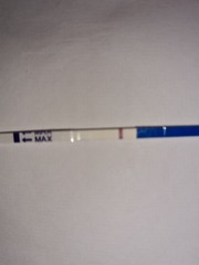 When is the earliest you would test?
