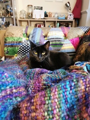 Single but not looking? Share the highs & lows