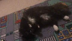ADs and their gratuitous pussy pictures