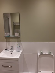 Bathroom Inspiration needed of patterned floor tiles