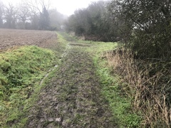 Running Thread 16