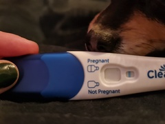 TTC 35+ Thread 5 Cougar and Silver Fox Club