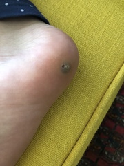What could this be?