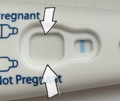 Are these the start of a BFP