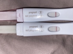 Could I be pregnant so soon after miscarriage ?