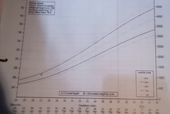 Pregnant After MMC - Thread 5