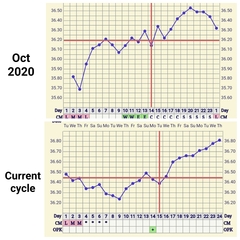 Is my progesterone increasing?